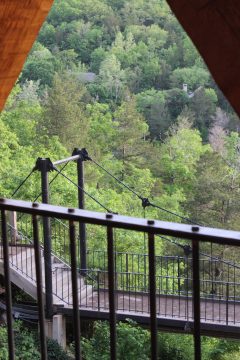 Lori's Pictures 247.JPG