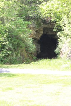 Lori's Pictures 292.JPG