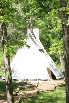 Lori's Pictures 297.JPG