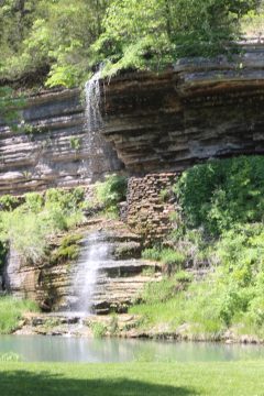 Lori's Pictures 300.JPG