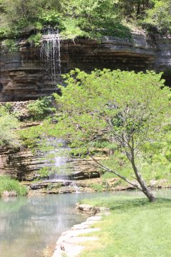 Lori's Pictures 301.JPG