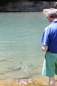 Lori's Pictures 312.JPG