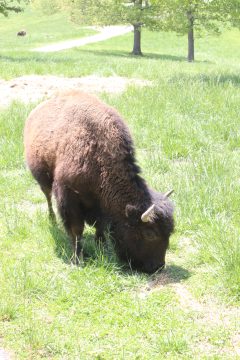 Lori's Pictures 333.JPG