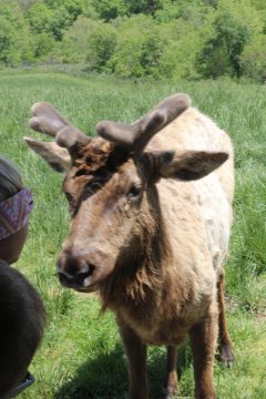 Lori's Pictures 349.JPG