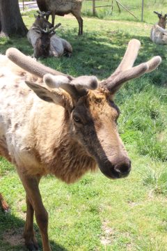 Lori's Pictures 350.JPG