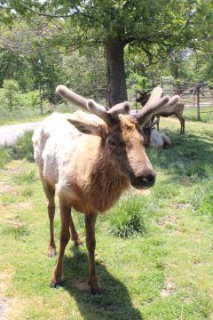 Lori's Pictures 353.JPG