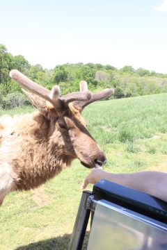 Lori's Pictures 354.JPG