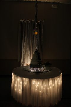 Lori's Pictures 555.JPG