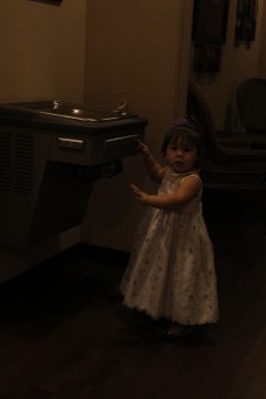 Lori's Pictures 565.JPG