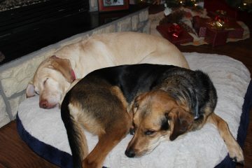 Lori's Pictures 658.JPG