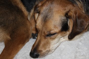 Lori's Pictures 659.JPG