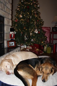 Lori's Pictures 661.JPG