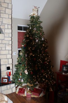 Lori's Pictures 663.JPG