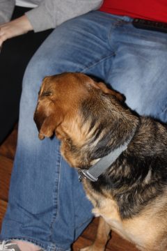 Lori's Pictures 667.JPG