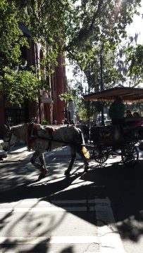 Phone_20150913 075.jpg