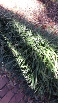 Phone_20150913 087.jpg