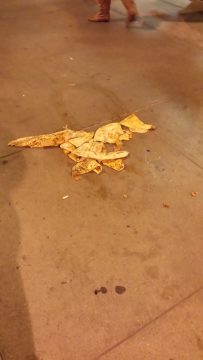 Phone_20150913 124.jpg