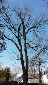 Phone_20150913 128.jpg