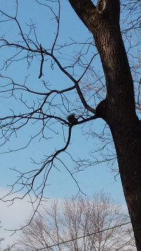 Phone_20150913 129.jpg