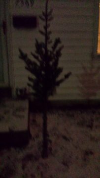 Phone_20150913 151.jpg