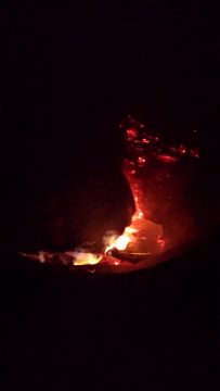 Phone_20150913 236.jpg