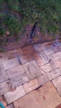 Phone_20150913 302.jpg