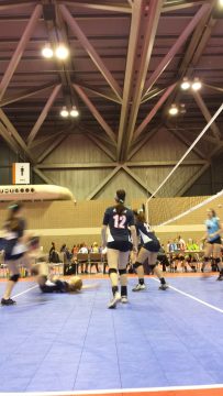 Phone_20150913 592.jpg