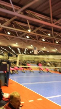 Phone_20150913 596.jpg