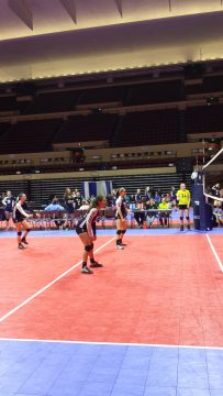 Phone_20150913 599.jpg