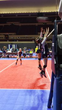 Phone_20150913 600.jpg