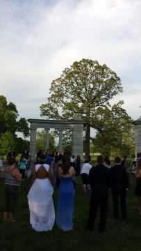 Phone_20150913 662.jpg