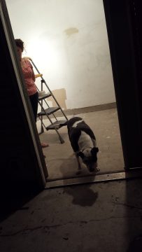 Phone_20150913 754.jpg