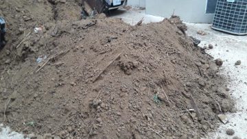 20190925_121535_1569431736296 (1).jpg