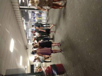 IMG_20190914_204839215 (1).jpg