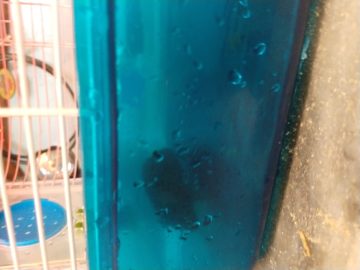 IMG_20190915_164639748 (1).jpg