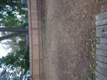 IMG_20191016_182248682 (1).jpg