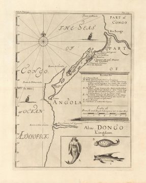 Angola-barbot-1732.jpg