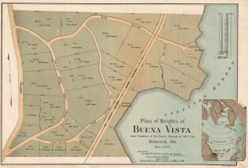 BuenaVista-curtis-1888.jpg