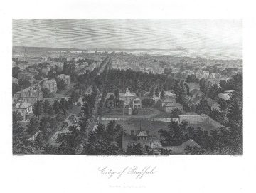 Buffalo-warren-1873.jpg