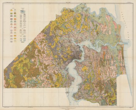 1921 Bureau of Soils Map of Duval County, Florida