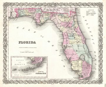 Florida-colton-1855.jpg