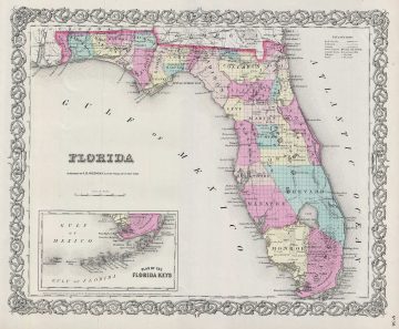 Florida-colton-1856.jpg