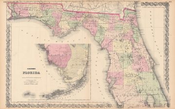 Florida-colton-1875.jpg