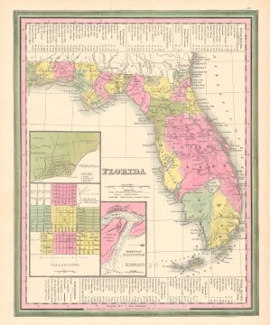 Florida-mitchell-1846.jpg