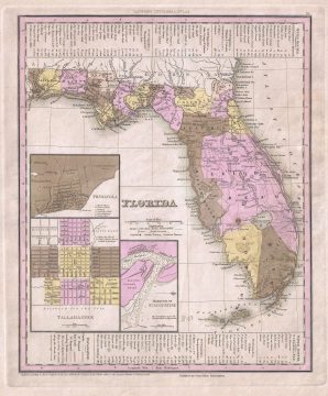 Florida-tanner-1845.jpg