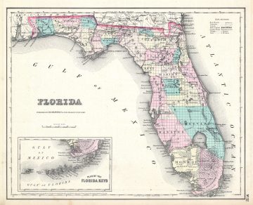 Florida2-colton-1857.jpg