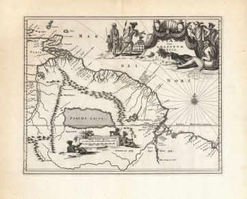Guiana-montanus-1673.jpg