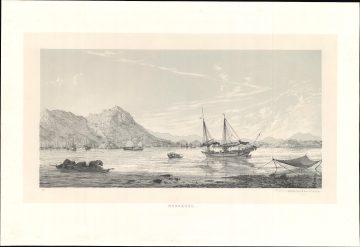 HongKong-korn-1864.jpg