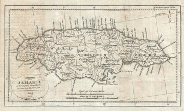 Jamaica-pluth-1822.jpg