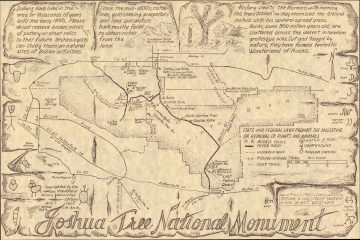 JoshuaTree-naturalhistoryassoc-1973.jpg